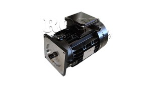 ELECTRIC-MOTOR-FOR-HYDRAULIC-POWER-PACK