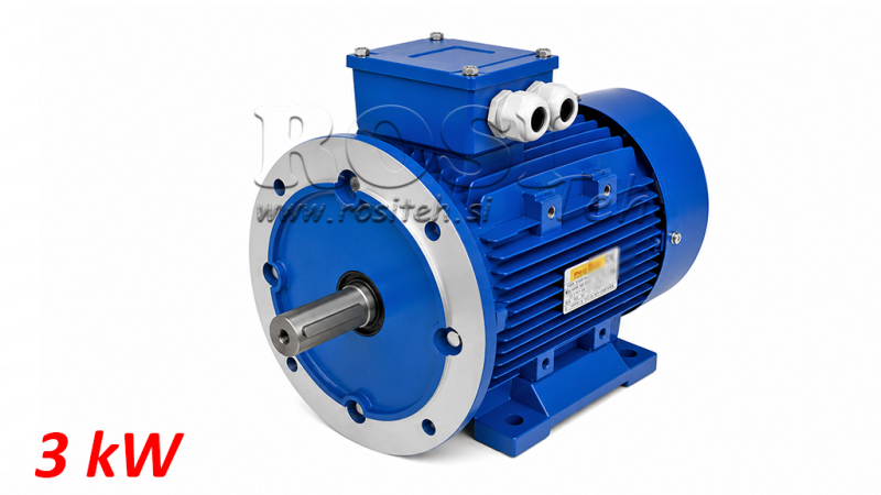MOTOR ELECTRIC 3KW MS100L2-4_1420RPM 3FAZE PICIORUȘE+FLANGE-B3B5