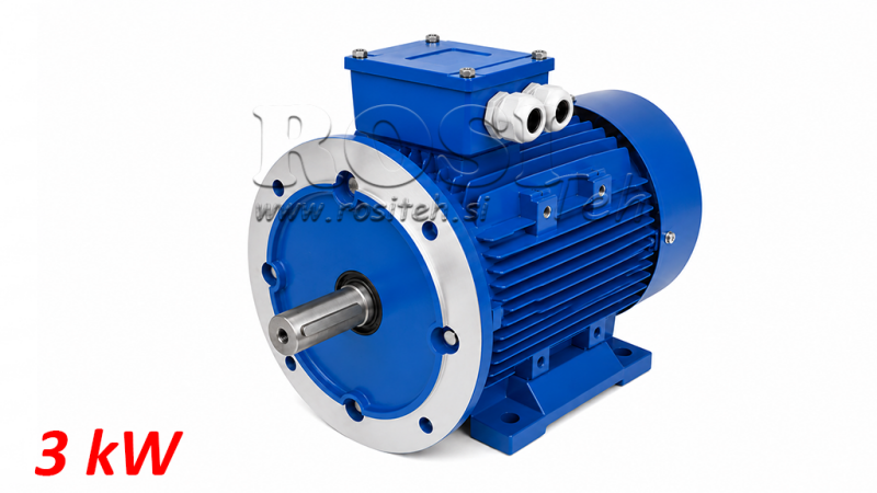 3KW - ELECTRIC MOTOR MS100L2-4_1420RPM 3 PHASE LEGS+FLANGE-B3B5
