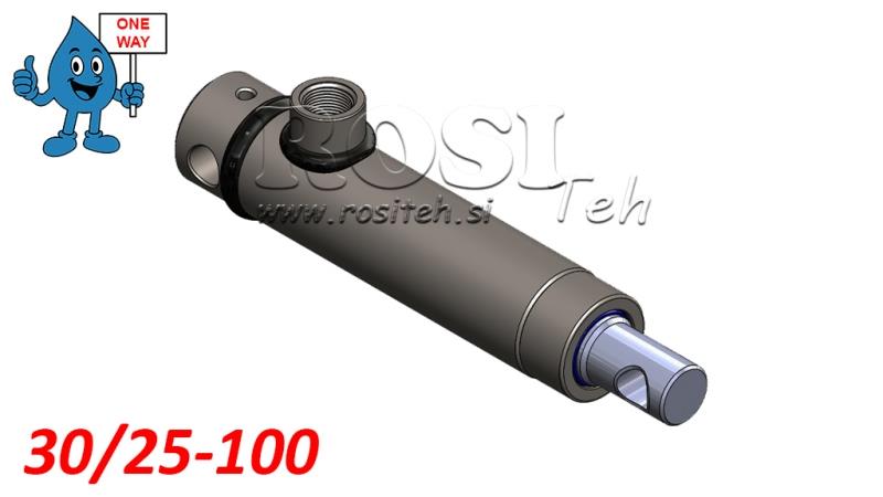 HIDRAULISKAIS CILINDRS 30/25-100