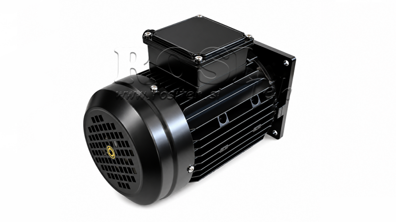 ERSATZMOTOR FÜR HYDRAULIKAGGREGAT 380V 3 kW