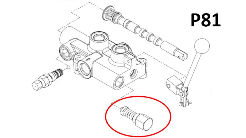 VALVOLA DI SICUREZZA PER P81