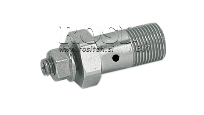 HYDRAULISCHER DÄMPFUNGSHOHLENSCHRAUBE 1/4