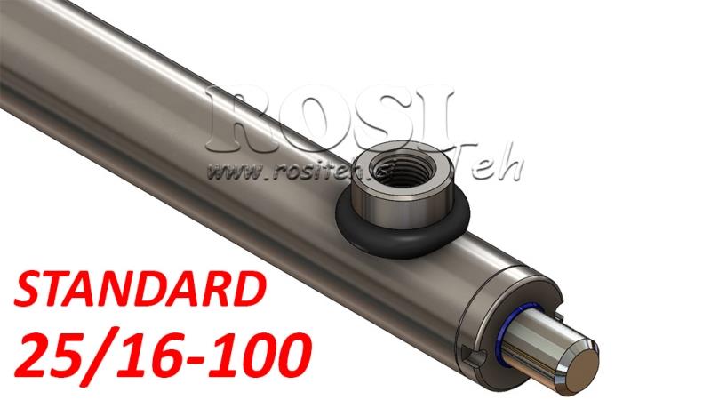 HYDRAULIC CYLINDER STANDARD 25/16-100