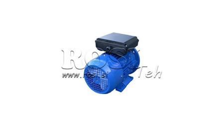 3kW-ELECTRIC MOTOR MYT100L-2_2800rpm single phase legs+flange-B3B5