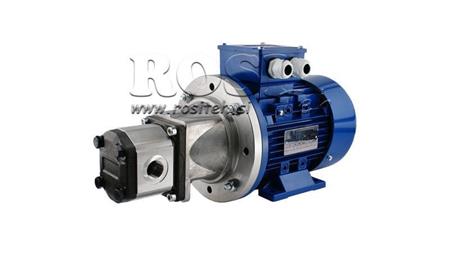 HYDRAULIKPUMPENBAUGRUPPE 2 16 ccm ELEKTROMOTOR 3-phasig - 5.5 KW (Durchfluss = 23 Liter/min)